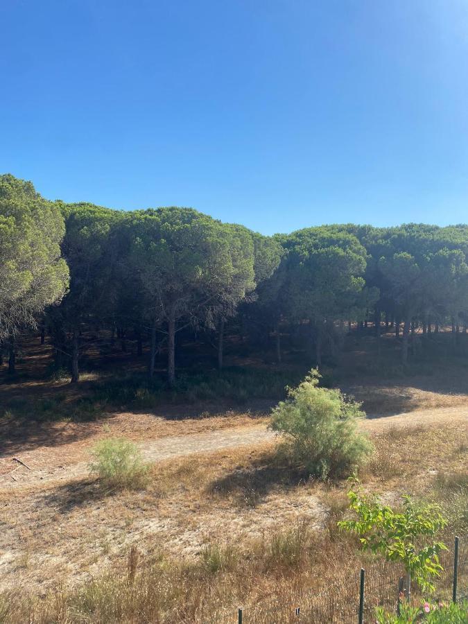 Studio Cabine Mer Et Pinede 26M2: 4Pers, Neuf, Cosy La Grande Motte Exterior foto